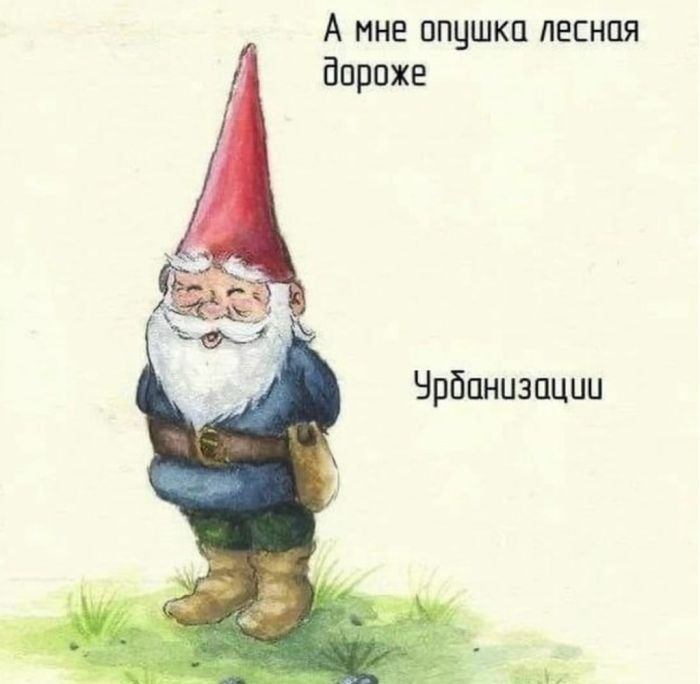 Сборник веселых мемов и картинок для поднятия настроения!