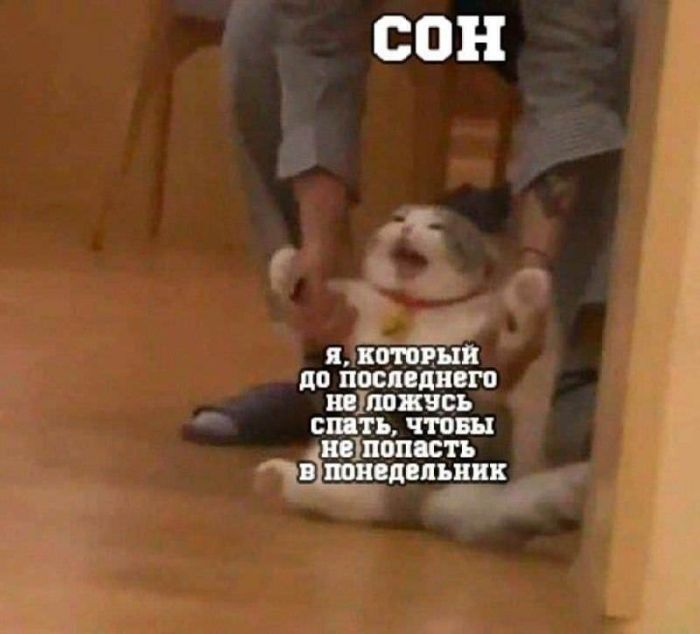Утро начинается с улыбки! Лучшие мемы и комментарии для поднятия настроения ☀️