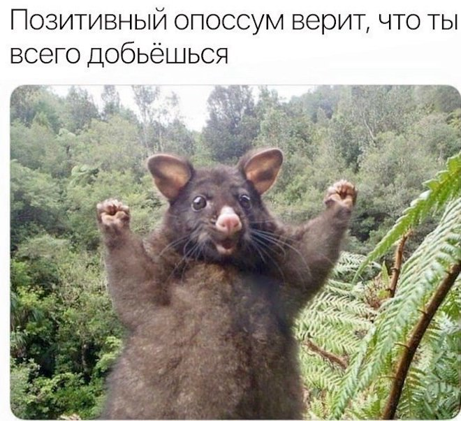 Утро начинается с улыбки! Лучшие мемы и комментарии для поднятия настроения ☀️