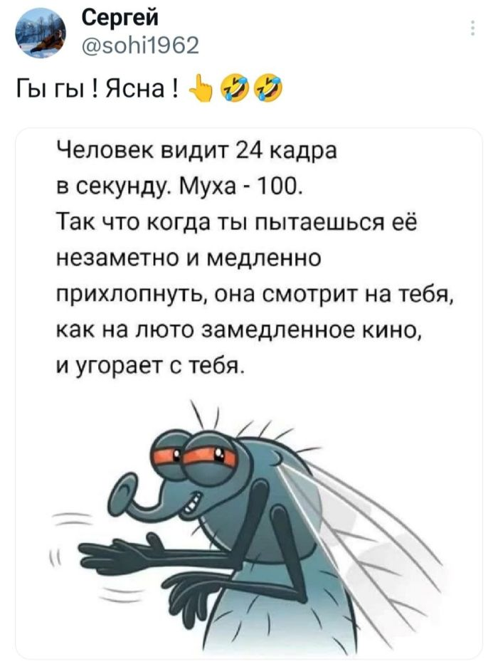 Утро начинается с улыбки! Лучшие мемы и комментарии для поднятия настроения ☀️