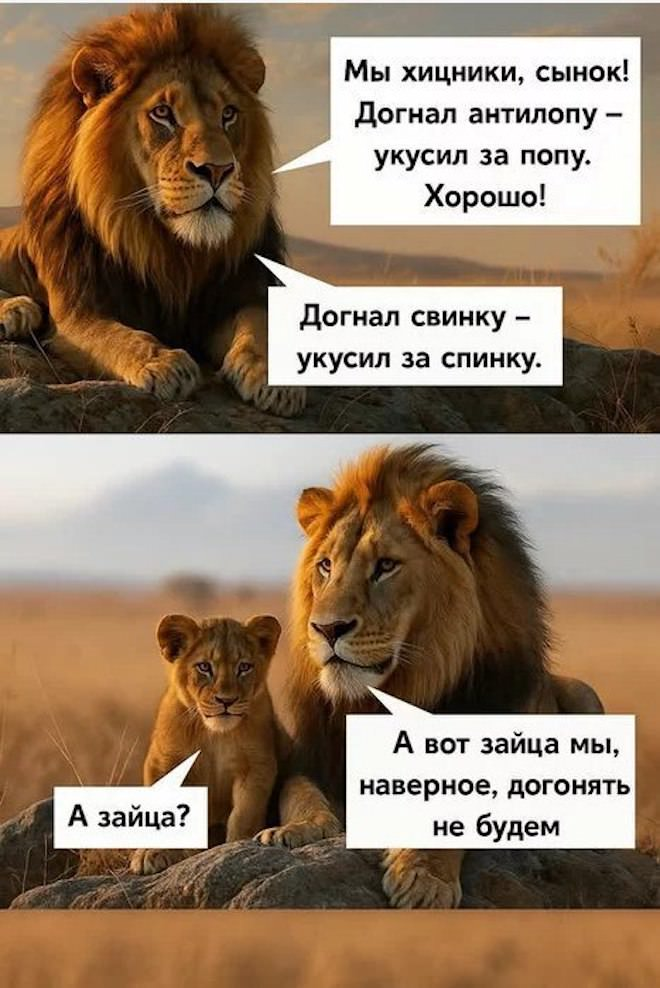 Утро начинается с улыбки! Лучшие мемы и комментарии для поднятия настроения ☀️