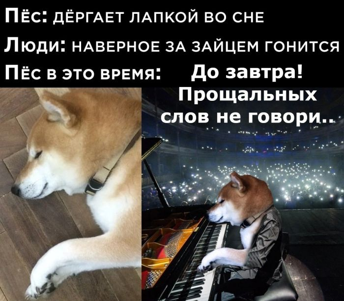 Путешествие в мир радости: ваш билет к счастью!