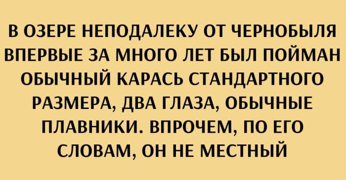 Путешествие в мир радости: ваш билет к счастью!