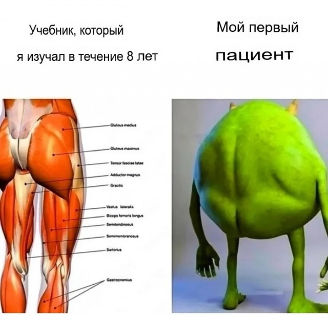 Путешествие в мир радости: ваш билет к счастью!