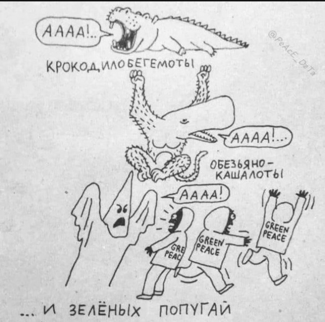 Путешествие в мир радости: ваш билет к счастью!