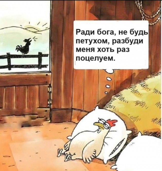 Путешествие в мир радости: ваш билет к счастью!