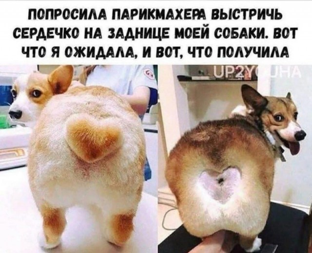 Путешествие в мир радости: ваш билет к счастью!