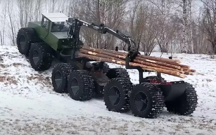 Удивительное создание: встречайте настоящего болотного монстра