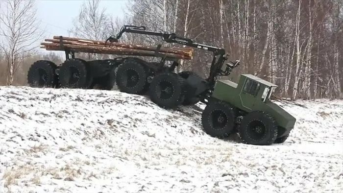 Удивительное создание: встречайте настоящего болотного монстра
