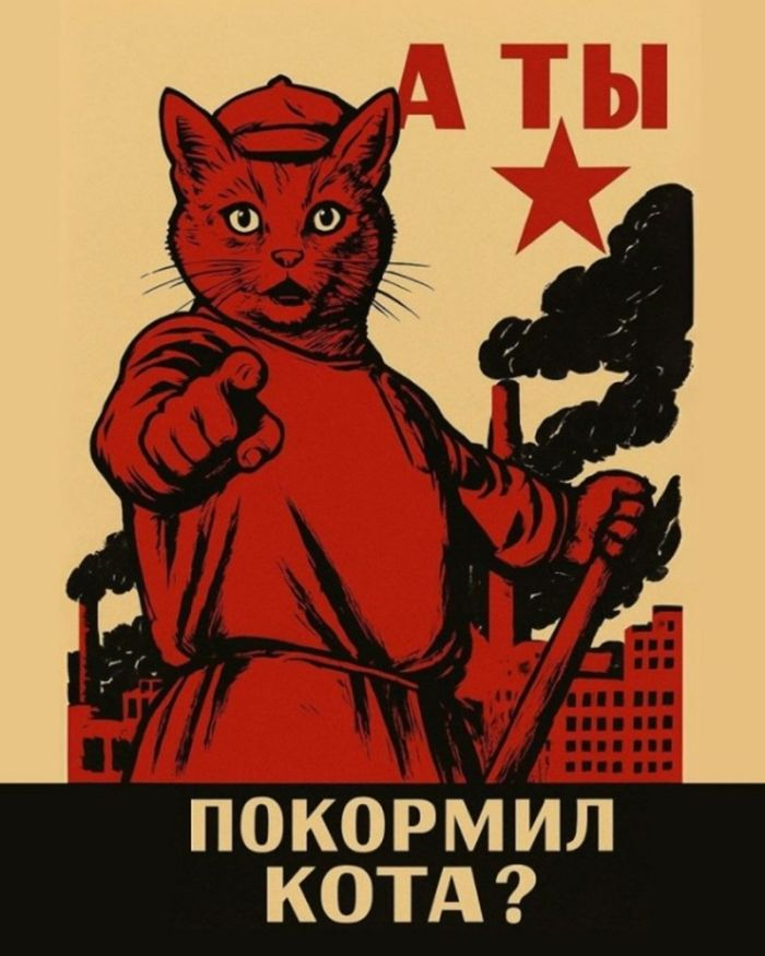Шутки и веселье: сборник забавных мемов и картинок