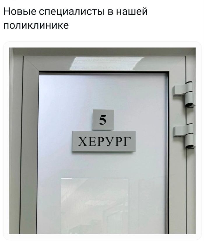 Шутки и веселье: сборник забавных мемов и картинок