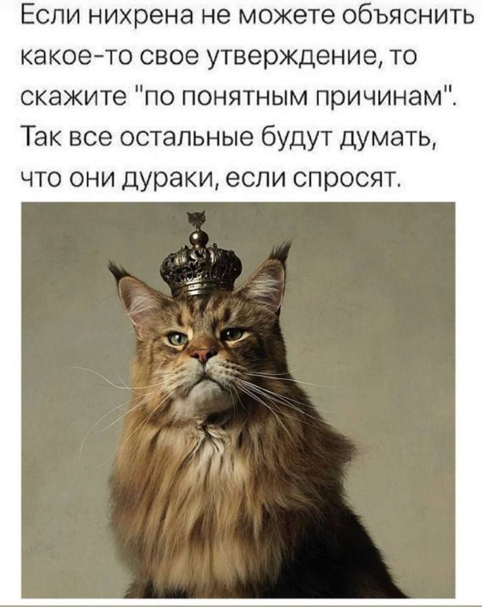 Шутки и веселье: сборник забавных мемов и картинок