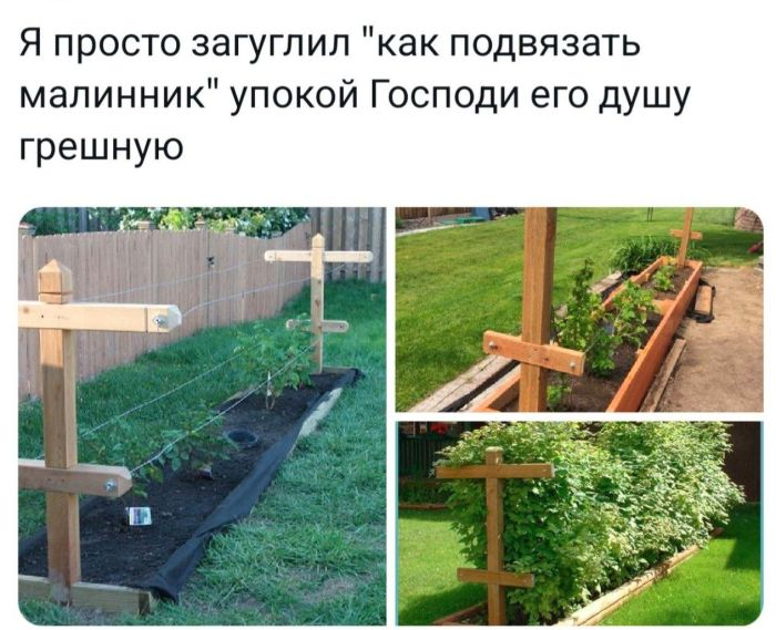 Шутки и веселье: сборник забавных мемов и картинок