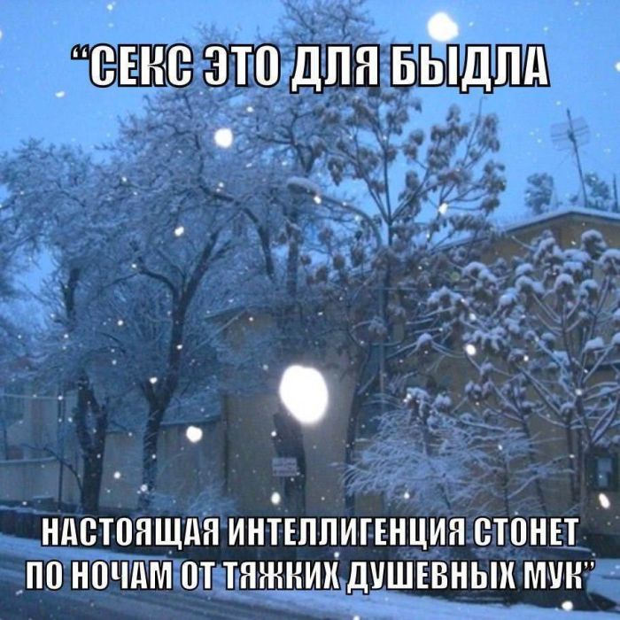 Шутки и веселье: сборник забавных мемов и картинок