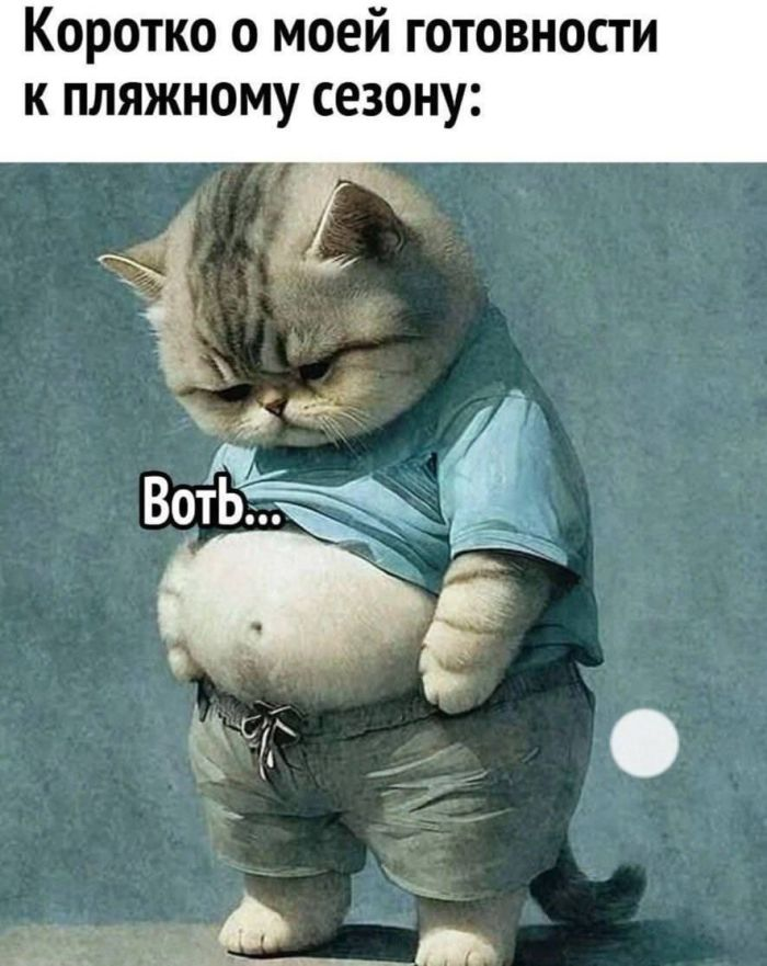 Смехопроводные шедевры: лучшие мемы, которые улучат ваш настрой!
