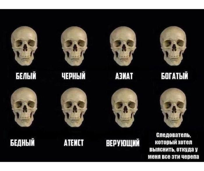Смехопроводные шедевры: лучшие мемы, которые улучат ваш настрой!