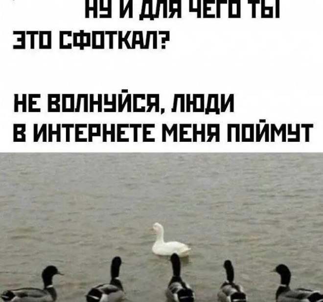 Смехопроводные шедевры: лучшие мемы, которые улучат ваш настрой!