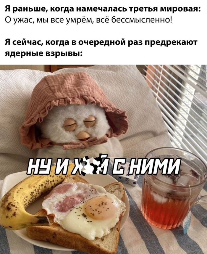 Смехопроводные шедевры: лучшие мемы, которые улучат ваш настрой!