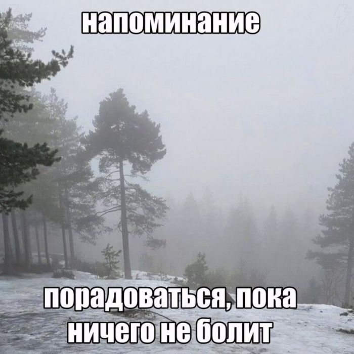 Смехопроводные шедевры: лучшие мемы, которые улучат ваш настрой!