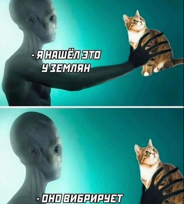 Веселые фотоприколы и мемы: подборка настроения и улыбок