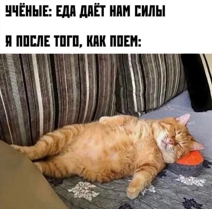 Веселые фотоприколы и мемы: подборка настроения и улыбок