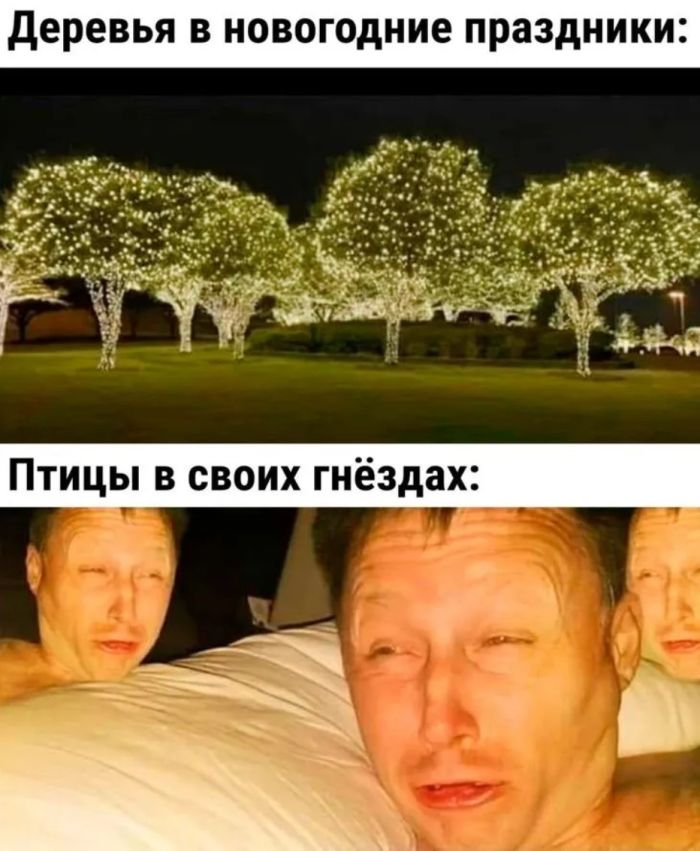 Веселые фотоприколы и мемы: подборка настроения и улыбок