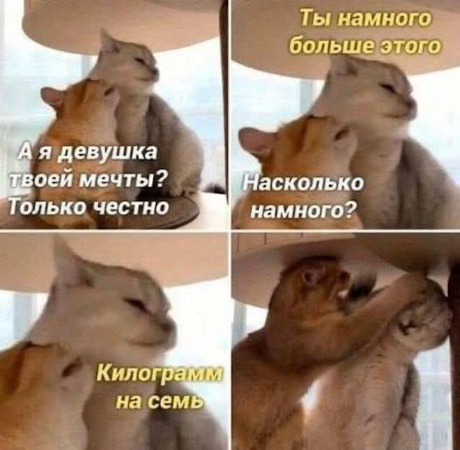 Смехотворная коллекция: мемы и фото, чтобы поднять настроение!