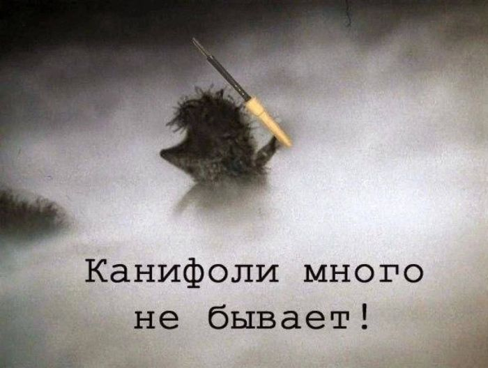 Смехотворная коллекция: мемы и фото, чтобы поднять настроение!