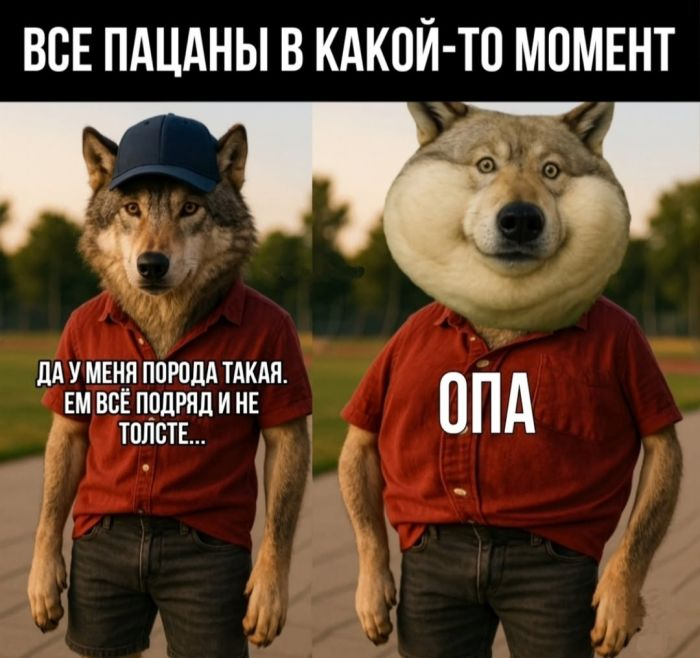 Шутки на подъем: юмористическая подборка перед выходными