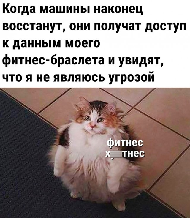 Смех гарантирован! Новые шедевры юмора в фотографиях и картинках